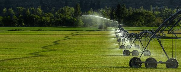 Irrigation System Servicing